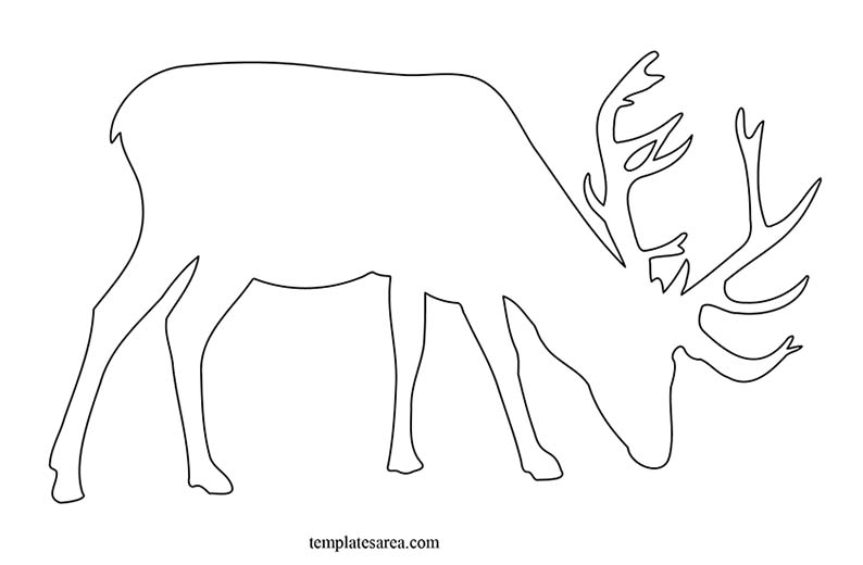 Deer outline silhouette template. Deer line drawing