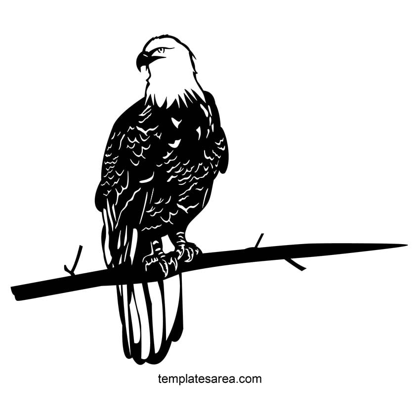 Detailed bald eagle perched on a textured branch, available in a free-to-download DXF file optimized for laser and plasma cutters.